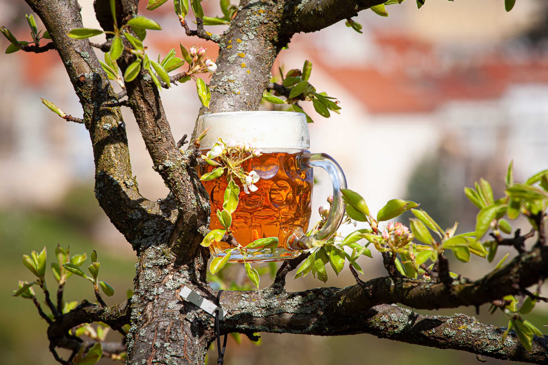 Beer Spa Prague - beer tasting